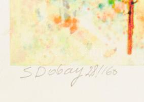 Dobay Zsuzsa (Susan Dobay, 1937-): Vízparti táj (cím nélkül). Nyomat, papír, jelzett, számozott (14/...