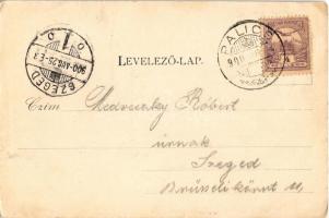 1900 Palicsfürdő, Palic; részlet, fürdő, park König Riza kiadása / spa, park (ázott sarkak / wet cor...