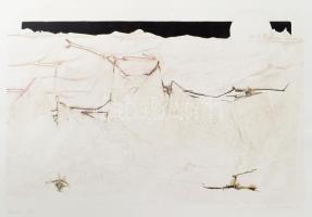 Olvashatatlan jelzéssel: Pszichoanalízis XI, 1987. Monotípia, papír. 28x42 cm