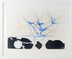 Jelzés nélkül: Erezet. Monotípia, papír. Plexiüvegezett keretben. 28x42 cm