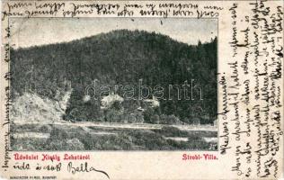 1901 Királylehota, Králova Lehota; Stróbl villa. Kunstadter Vilmos kiadása / villa (r)