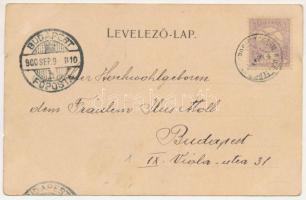 1900 Tőketerebes, Trebisov; gróf Andrássy kastély, vendéglő, étterem, takarékpénztár, izraelita temp...
