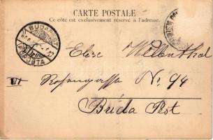 Constantinople, Istanbul; Türkische Spazierfahrt / Turkish carriage (EM)