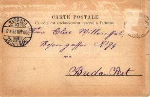 1900 Constantinople, Istanbul; Türkische Edeldame / Turkish lady, folklore (EM)