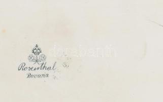 cca 1920 Rosenthal szendvicses tálca, jelzett, minimális kopással, 49x16 cm