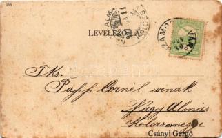 1907 Szamosújvár, Gherla; Polgári leányiskola. Todorán Endre kiadása / girls' school (EM)