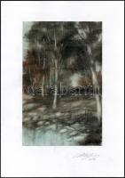 Balázs György (1927-2015): Vízparti táj, 2012. Akvarell, papír, jelzett, papírra kasírozva. 29,5x19 cm