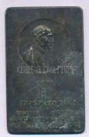 Német Birodalom 1903 k. "Papst Leo XIII - Geboren zu Carpineto 2. März 1810 - Gestorben im Vatican 20. juli 1903. (XIII. Leó pápa - született Carpinetoban 1810. március 2-án, elhunyt a Vatikánban 1903. július 20-án)" fém emlékplakett (40x63mm) T:XF,VF korr. German Empire around 1903. "Papst Leo XIII - Geboren zu Carpineto 2. März 1810 - Gestorben im Vatican 20. Juli 1903. (Pope Leo XIII - born in Carpineto on 2 March 1810, died in the Vatican on 20 July 1903)" metal commemorative plaque (40x63mm) C:XF,VF corr.