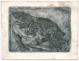 König (Kőnig) Róbert (1951-2014): Teknős (cím nélkül). Rézkarc, papír, jelzett a karcon, 8x11 cm