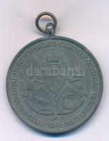 1941. "Délvidéki Emlékérem" Zn emlékérem mellszalag nélkül. Szign.: BERÁN L. T:XF Hungary 1941. "Commemorative Medal for the Return of Southern Hungary" Zn medal without ribbon. Sign: BERÁN L. C:XF NMK 429.