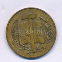 1940. "Szálasi Ferenc 1938 / 1940. IX. 16." kétoldalas bronz emlékérem. Szign.: Pincés I. ...