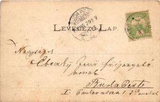 1905 Szatmárnémeti, Szatmár, Satu Mare; Deák tér déli része, Pannonia szálloda, Lövy Lajos üzlete. R...