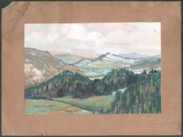 Olvashatatlan jelzéssel, XX. sz. első fele: Hegyvidéki táj. Akvarell, papír, kartonra kasírozva. 17x25 cm.