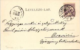 1900 Temesvár, Timisoara; Józsefvárosi zárda és templom. Králicsek Béla kiadása / Josefstädter Klost...