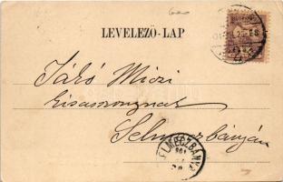 1901 Temesvár, Timisoara; Józsefvárosi zárda. Louis Koch / Iosefin nunnery (EB)