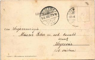 1905 Temesvár, Timisoara; Józsefváros, zárda / Josefstädter Kloster / cloister, nunnery (EM)