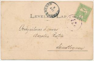 1902 Nagybánya, Baia Mare; Bányász ház, Zazar híd a népiskolával, Liget rész. Kovács Gyula kiadása /...