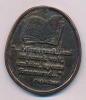 DN "Szent László Általános Iskola Budapest / "Mindennek, ami itt remek volt, emléke, nyoma fönnmarad..." - Vajda János" kétoldalas bronz plakett (59x49mm) T:XF