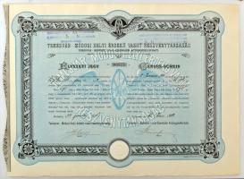 1918 Budapest "Temesvár - Módosi Helyi Érdekü Vasut Részvénytársaság" élvezeti jegye magya...