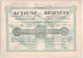 Románia / Arad 1923. "Mezőgazdák Kereskedelmi Részvénytársaság" részvénye 300L-ről, szelvényekkel, szárazpecséttel és felülbélyegzésekkel T:AU Romania / Arad 1923. "Commercial Agriculture Company" share about 300 Lei with coupons, embossed stamp and overprints C:AU