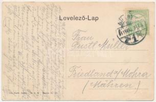 1911 Feketehalom, Zeiden, Codlea; Marktplatz mit Kirche / Piactér, Városháza. Joh. Foith kiadása, Jo...