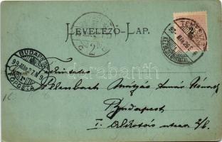 1899 (Vorläufer) Temesvár, Timisoara; Losonczy tér este holdfényben, üzletek. Stengel &amp; Co. ...