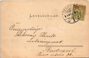 1904 Temesvár, Timisoara; Tiszti kaszinó, Illits kioszk. Moravetz és Weiss kiadása / casino, kiosk (...