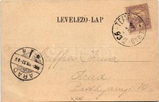 1900 Temesvár, Timisoara; Józsefvárosi zárda. Loius Koch / Iosefin, nunnery + "TEMESVÁR - ARAD ...