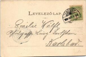 1902 Temesvár, Timisoara; Ferenc József színház / theatre (EK)