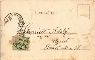 Temesvár, Timisoara; színház. Csendes Jakab, Divald Károly 774. sz. / theatre. Art Nouveau, floral (...