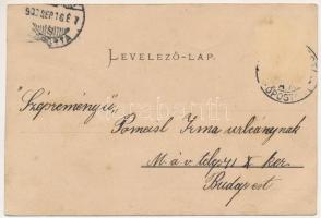 1900 Segesvár, Schässburg, Sighisoara; Petőfi szobor, Vármegyeháza, Vármegye terem, belső. Roth G. H...