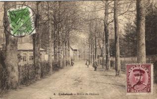 Linkebeek alley to the castle (Rb)