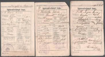 1920 Katonai nyilvántartás igazolványi lapok, 3 db, változó állapotban