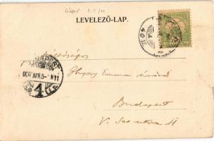 1905 Segesvár, Schässburg, Sighisoara; Petőfi szobor. Fritz Teutsch kiadása / statue, monument (EK)