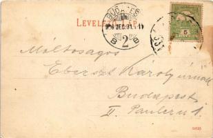 1906 Segesvár, Schässburg, Sighisoara; látkép. Teutsch kiadása / general view (fl)