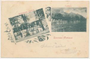 1901 Detta, Ghedu, Deta; Millenniumi csarnok, Fő utca / millennium pavilion, main street. Art Nouveau, floral (fl)