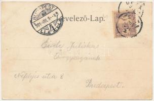 1901 Detta, Ghedu, Deta; Millenniumi csarnok, Fő utca / millennium pavilion, main street. Art Nouvea...