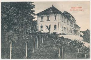 1911 Nagyteremi, Teremia Mare, Tirimia; Bethlen kastély / castle (EK)