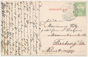 1911 Nagyteremi, Teremia Mare, Tirimia; Bethlen kastély / castle (EK)