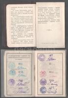 1908 Cs. kir. szab. Kassa-Oderbergi Vasút féljegy váltására jogosító fényképes igazolvány Korbacska ...