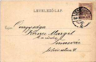 1900 Temesvár, Timisoara; Gyárvárosi Béga részlet, fürdőzők. Polatsek-féle könyvkereskedés kiadása /...