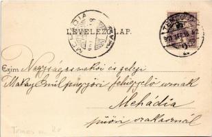 1901 Temesvár, Timisoara; Gyárvárosi Béga részlet, fürdőzők. Polatsek-féle könyvkereskedés kiadása /...