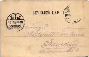 1902 Temesvár, Timisoara; Nyaraló a Béga csatorna mentén. Králicsek Béla kiadása / Bega riverside, v...
