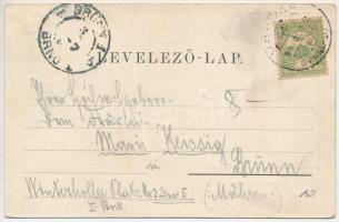 1901 Végvár, Tormac; református templom, Róna Jakab üzlete / Calvinist church, shop (Rb)