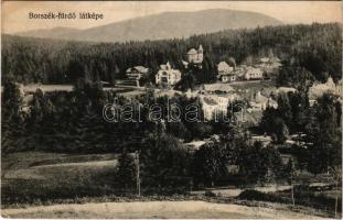 1913 Borszék, Borsec; látkép, nyaralók. Pollatschek Gyula kiadása / general view with villas + "KOLOZSVÁR - MÁDÉFALVA - BRASSÓ 246 B" vasúti mozgóposta bélyegző (EK)