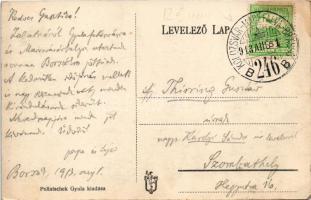 1913 Borszék, Borsec; látkép, nyaralók. Pollatschek Gyula kiadása / general view with villas + &quot...