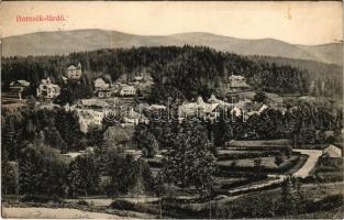 1909 Borszék, Borsec; látkép, nyaralók. Divald Károly műintézete 1946-1908. / general view with villas (r)