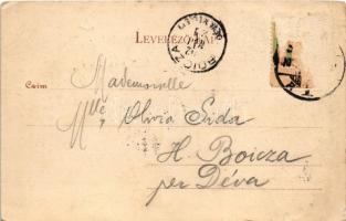 1902 Kolozsvár, Cluj; Sétatéri kioszk / kiosk (Rb)