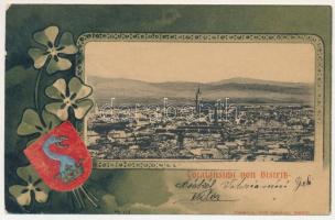 1902 Beszterce, Bistritz, Bistrita; Totalansicht / látkép. Carl Csallner kiadása, címeres litho keret / church. coat of arms, Art Nouveau litho frame (EM)