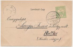 1902 Beszterce, Bistritz, Bistrita; Totalansicht / látkép. Carl Csallner kiadása, címeres litho kere...